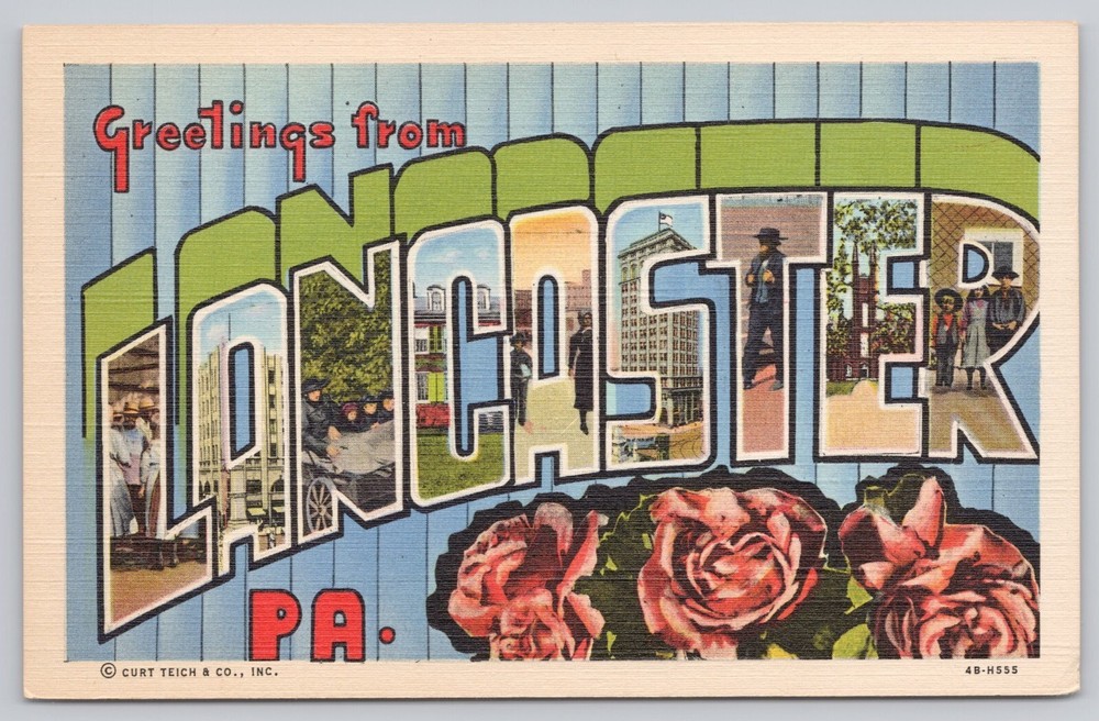 Lancaster Pennsylvania, Large Letter Greetings, Pink Roses, Vintage Postcard