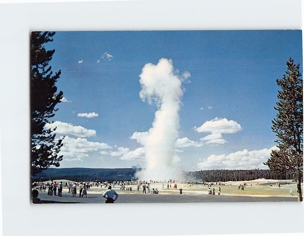 Postcard Old Faithful Geyser Upper Geyser Basin Yellowstone National Park WY