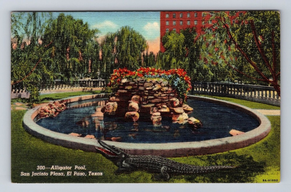 El Paso TX-Texas, Alligator Pool, San Jacinto Plaza, Vintage Postcard