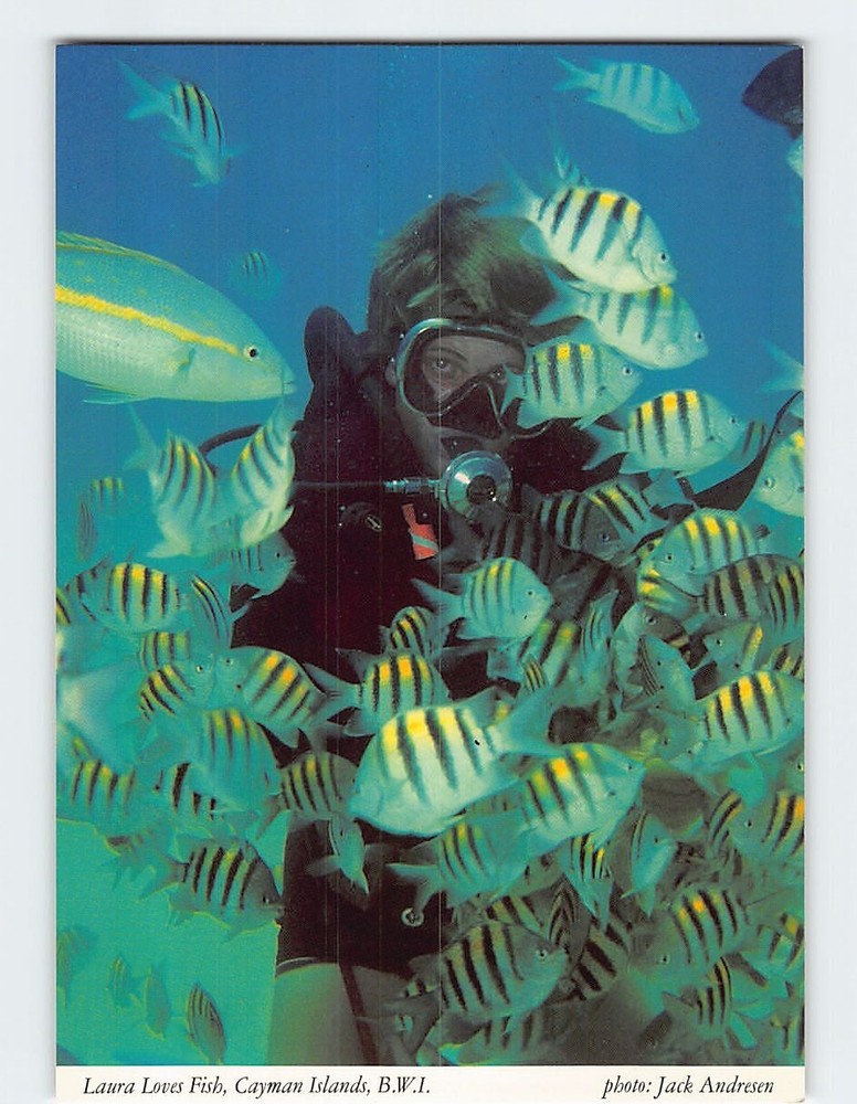 Postcard Laura Loves Fish Cayman Islands British Overseas Territories