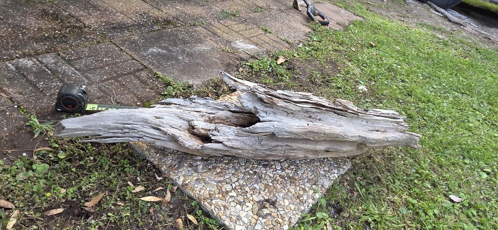 Aquarium Driftwood