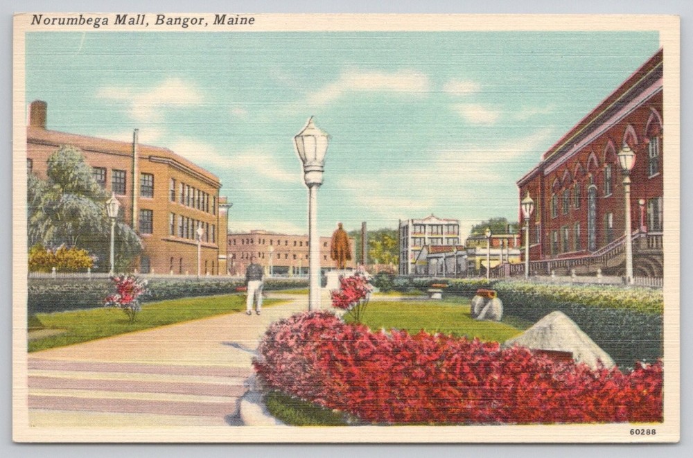 Norumbega Mall Bangor Maine Postcard Tichnor Bros. Vintage Park View