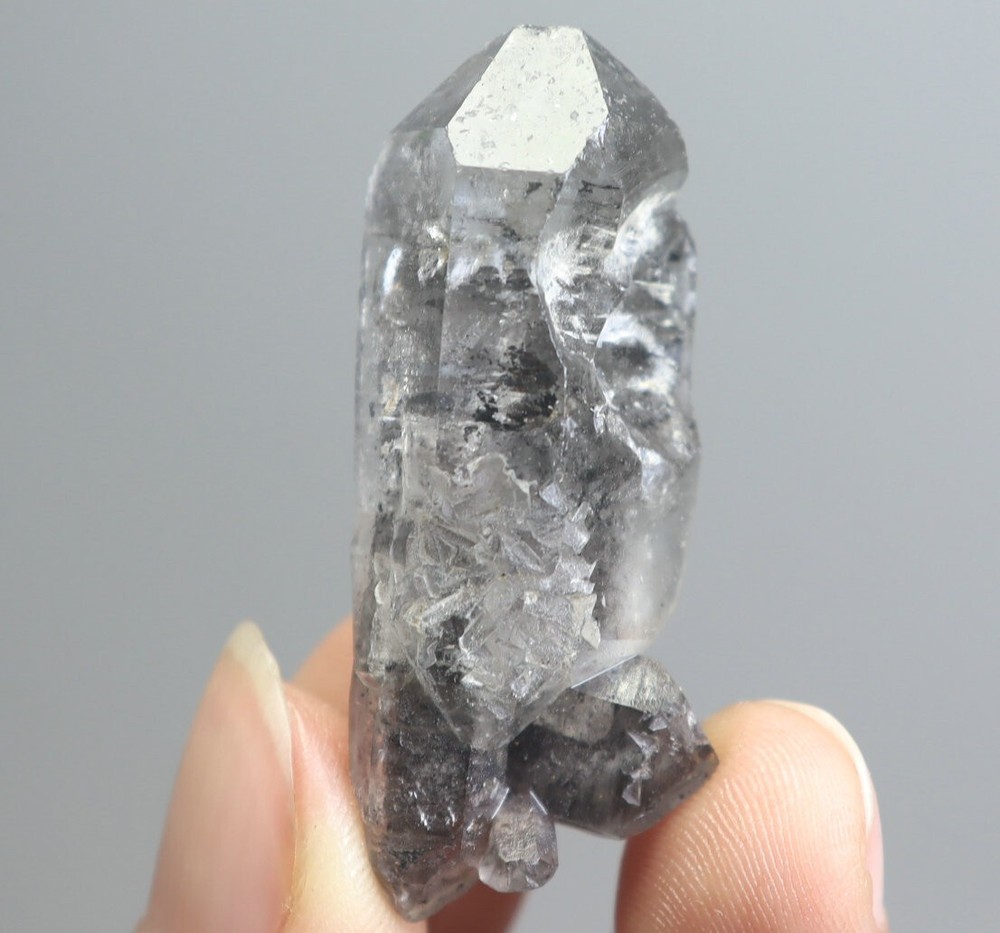 Natural Black Phantom Herkimer Diamond Quartz Crystal Point Mineral Specimen