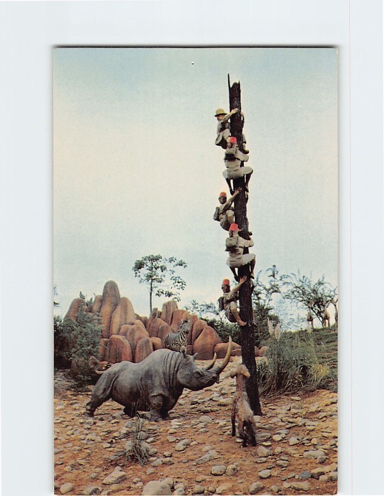 Postcard Trapped Safari Adventureland Jungle Cruise Disneyland Florida USA