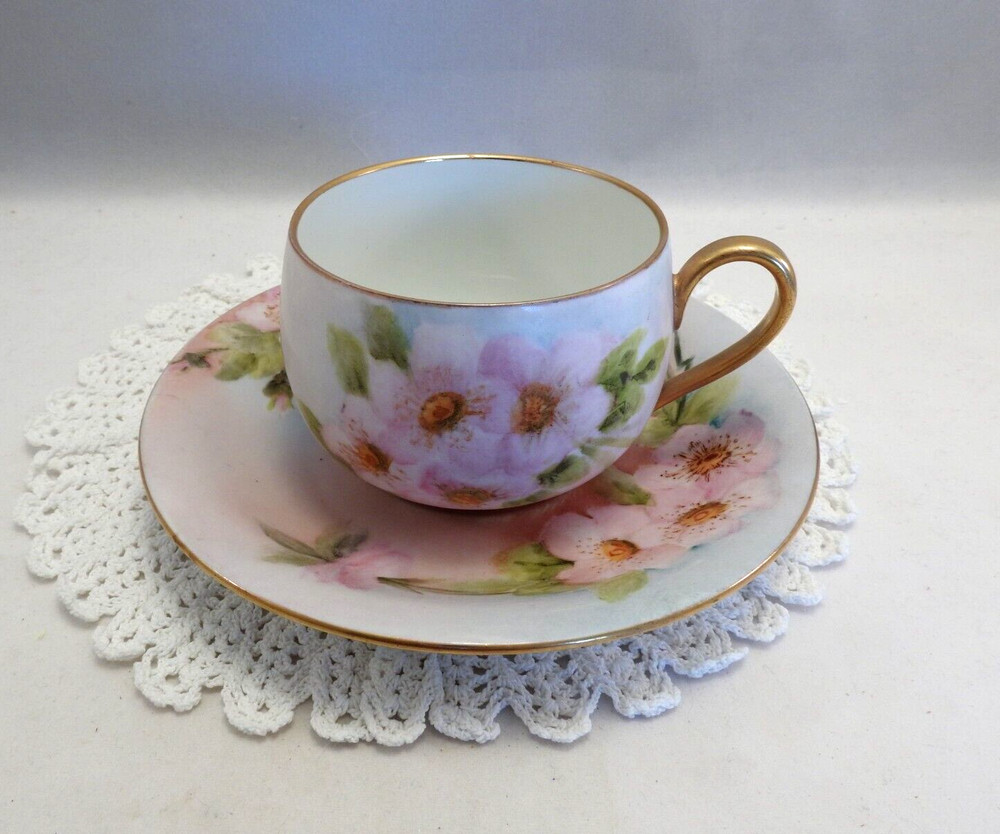 Hutschenreuther Selb Bavaria Germany Hand Painted Wild Roses Tea Cup With Saucer