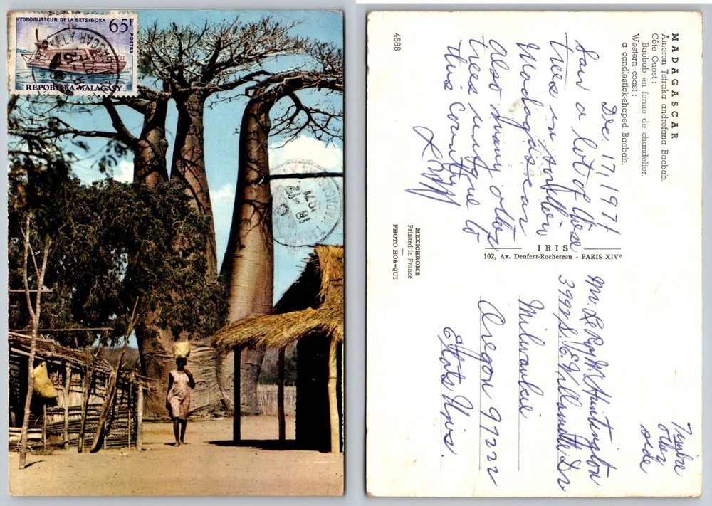 Vintage Madagascar Baobab Trees Postcard - 1977 Mexichrome Photo HOA-QUI