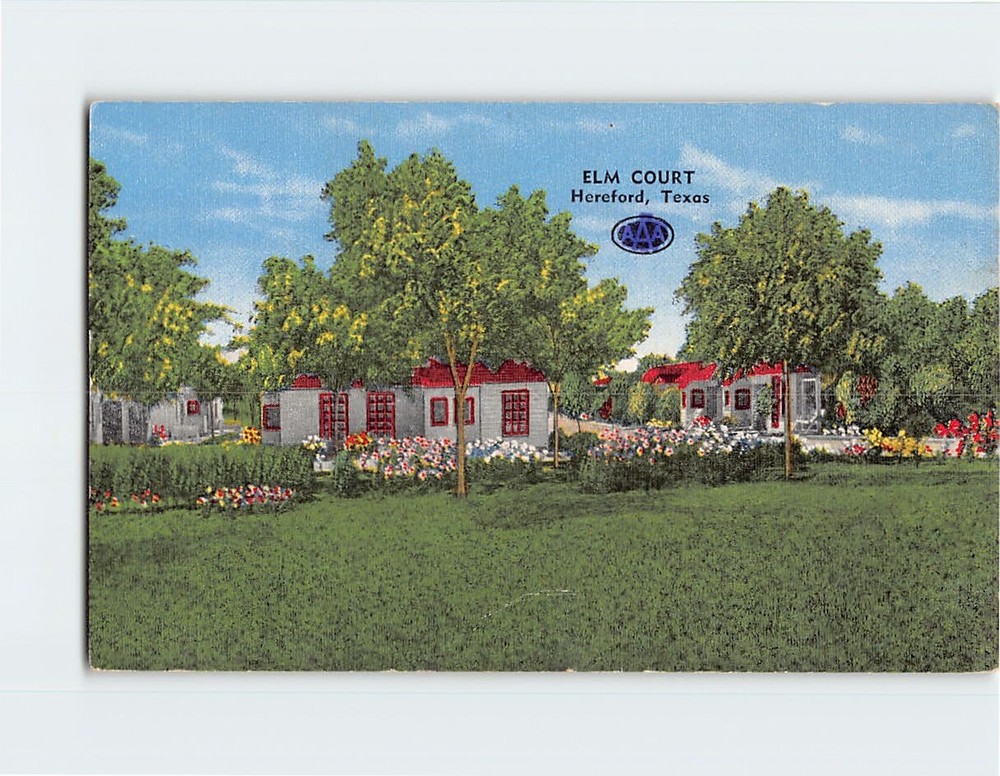 Postcard Elm Court Hereford Texas USA