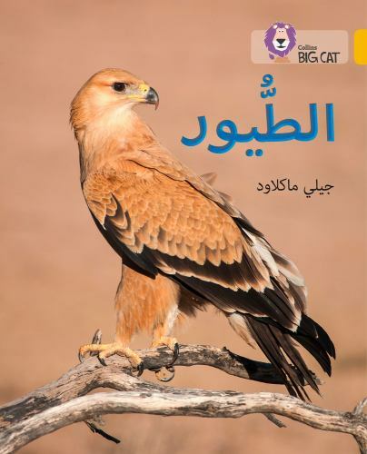 Birds : Level 9, Paperback by MacLeod, Jilly, Brand New, Free shipping in the US