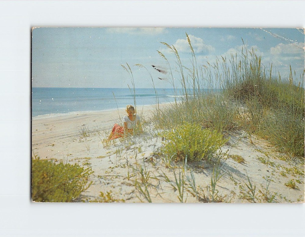 Postcard Beach Scene Florida USA