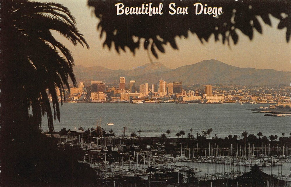 Vtg Postcard 6x4 San Diego CA California Bay Skyline View Harbor Island 1980s K5