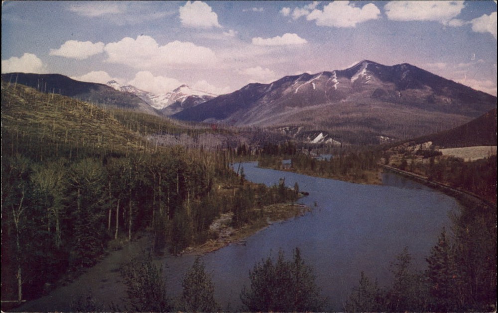 Montana Flathead River aerial view ~ 1950s-60s vintage postcard sku855