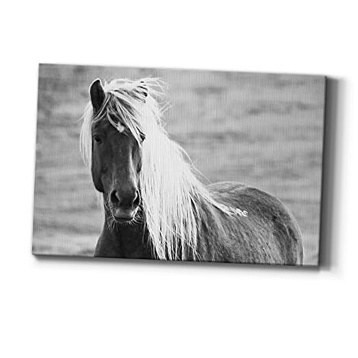 Animal Canvas Wall Art for Living Room Bathroom 27L