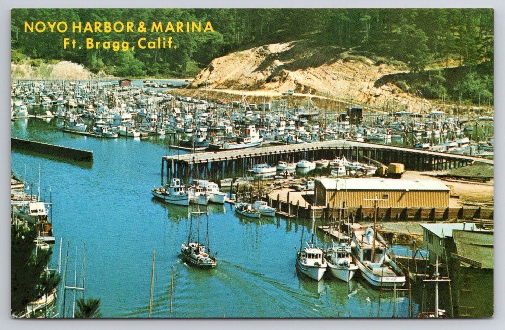 Noyo Harbor Marina Fort Bragg CA Fishing Boats Vintage Chrome Postcard