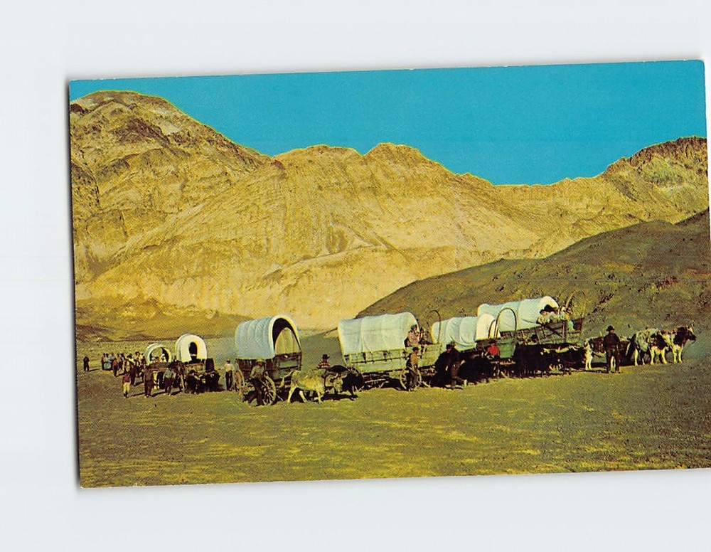 Postcard Wagon Train Prairie Schooner Conestoga Oxen Horses Settlers Westward