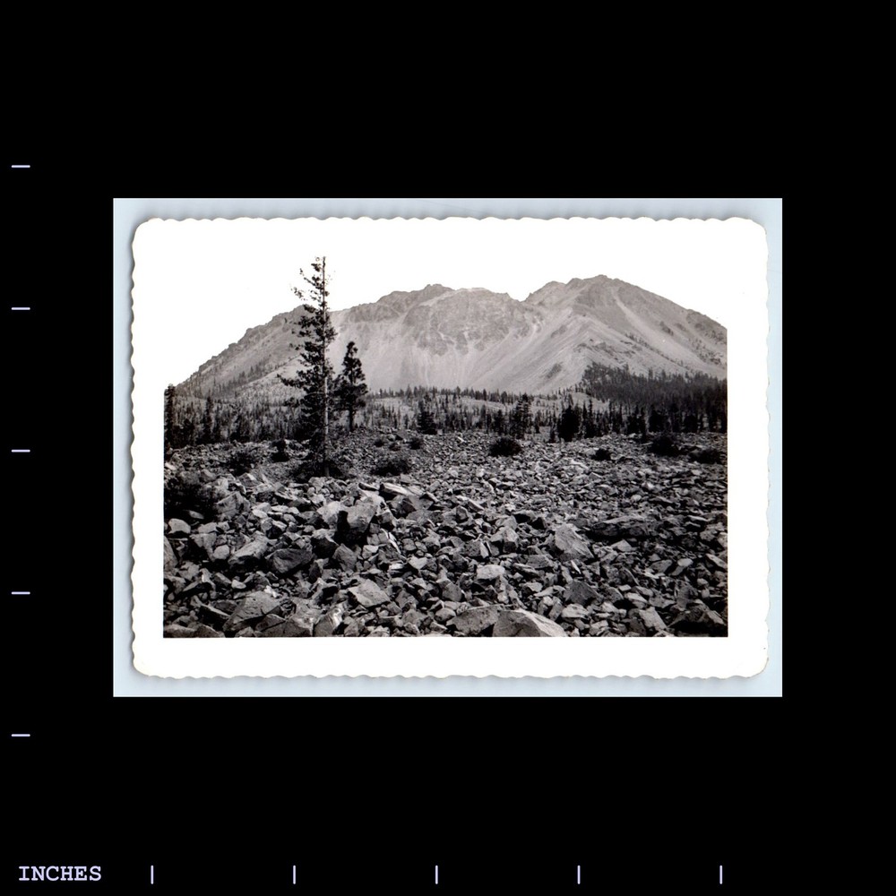 Old Vintage Photo MOUNTAIN LANDSCAPE ROCKS AND TREES