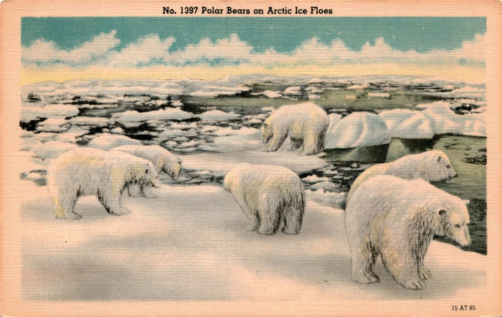 Arctic Ice Floes, W. E. Croom, Memphis, Tenn., C. P Postcard
