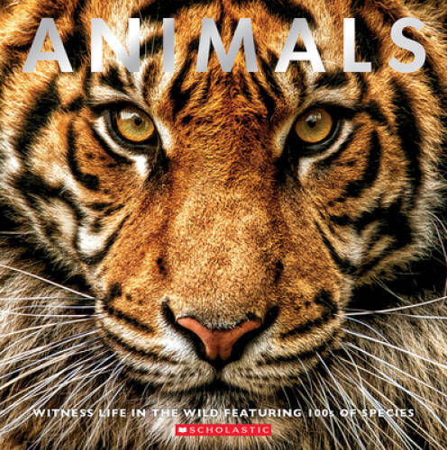 Animals: Witness Life in the Wild Featuring 100s of Species - Paperback - GOOD