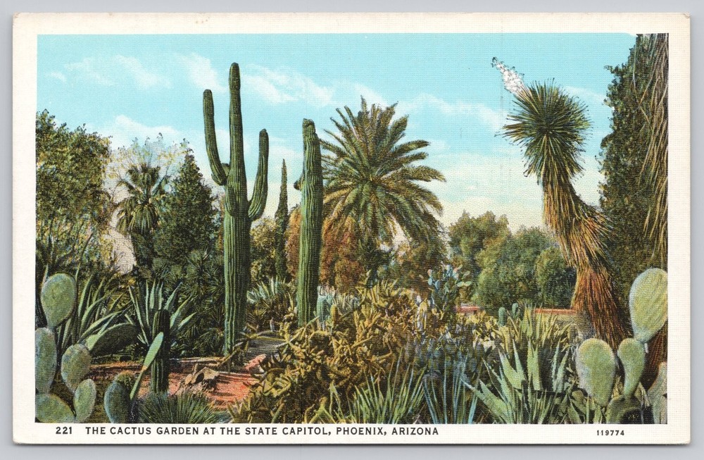 Vintage Linen Postcard Cactus Garden State Capitol Phoenix AZ 1930s