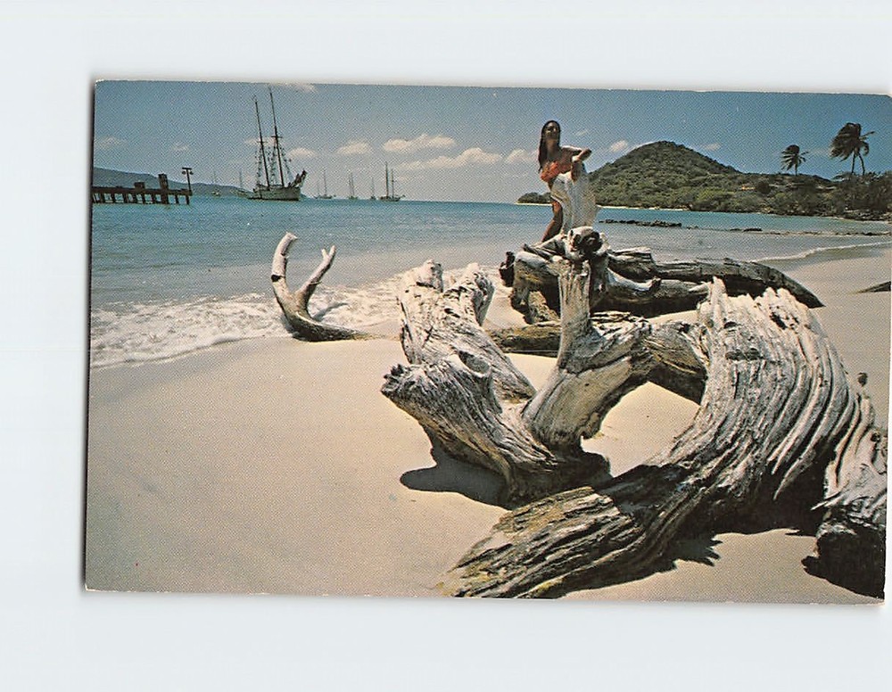 Postcard Beach Scene Tobago Cays Saint Vincent and the Grenadines