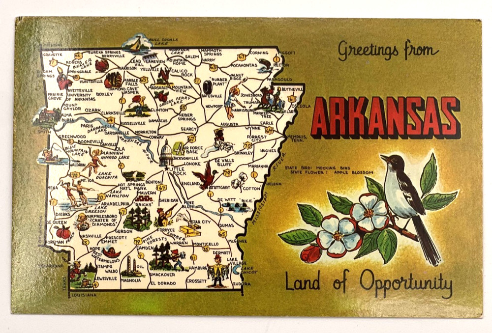 Greetings from Arkansas Map Postcard Land of opportunity Chrome Postcard