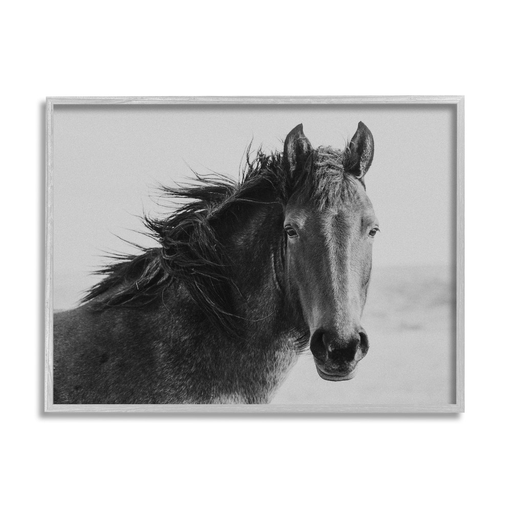 Stupell Black Stallion Equestrian Portrait Vintage Horse Grey 20 x 16
