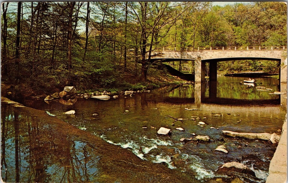 Youngstown OH-Ohio, Mill Creek Park, Scenic View, Vintage Postcard
