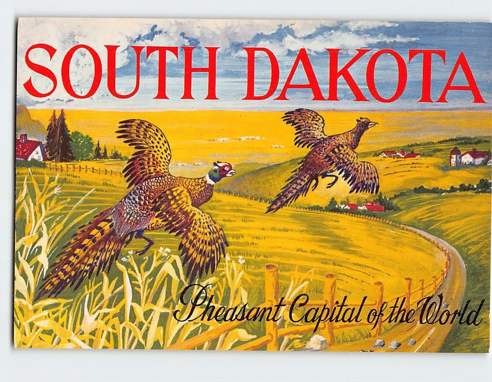 Postcard Pheasant Capital of the World South Dakota USA