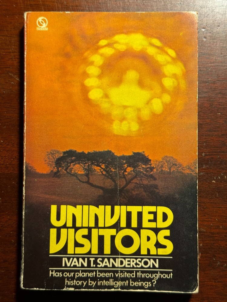 Silent Invasion Ellen Crystal St. Martin's Paperbacks 1991 1990s VTG PB BK