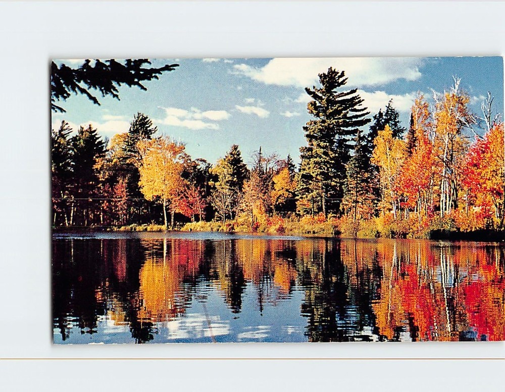 Postcard Nature's Glory is Reflected in this Colorful Autumn Scene