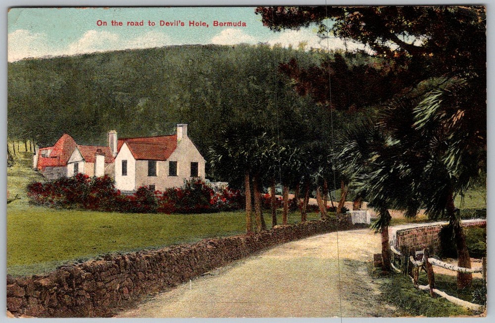 Antique Postcard Road Devil's Hole, Bermuda 1910s