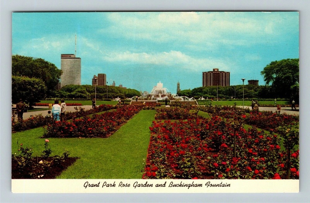 Chicago IL-Illinois, Grant Park Rose Garden, Buckingham, Vintage Postcard