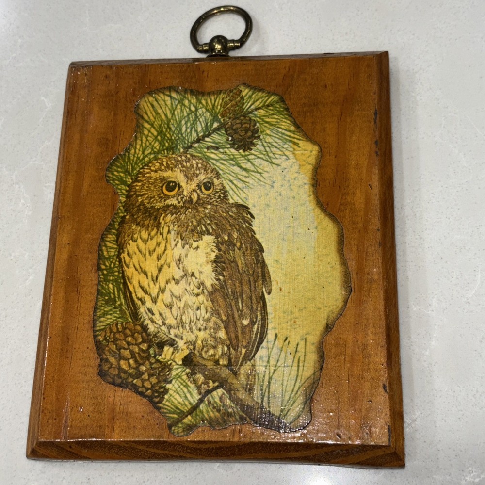Vintage Owl Picture Wooden Plaque Picture  Retro Rustic Nature Hanging