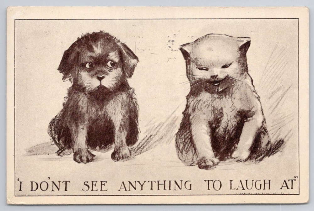1914 New York Postcard Funny Puppy Kitten 