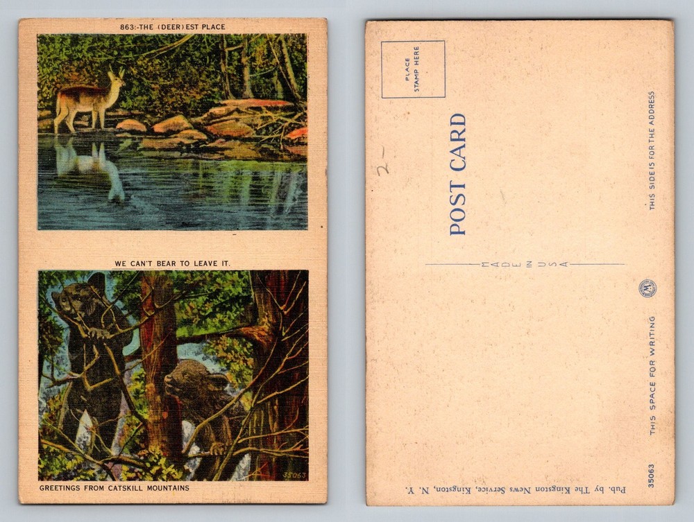 Catskill Mountains, NY-New York, Deer and Bear Scenic Views Vintage Postcard