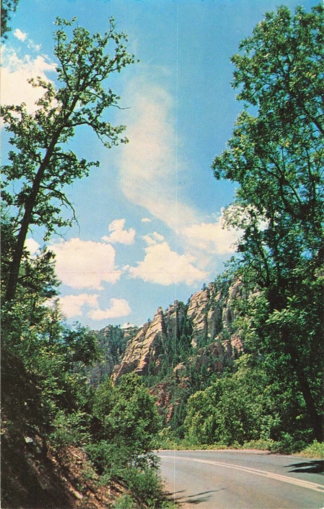 Road Thru Oak Creek Canyon Arizona AZ - Postcard