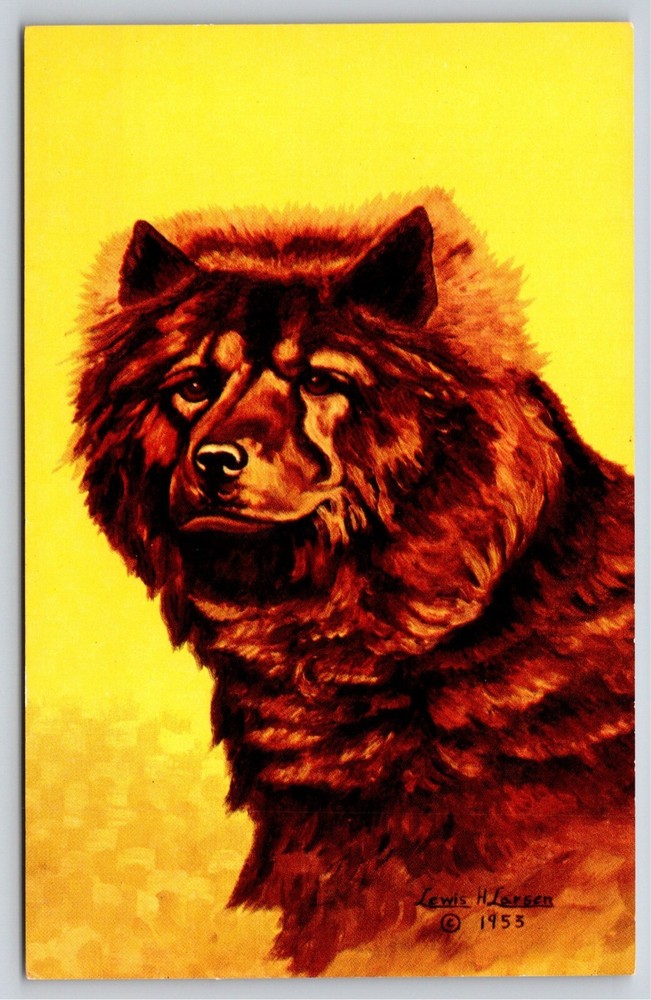 Animals~The Chow Chow Dog~Artist Dude Larsen~Vintage Postcard