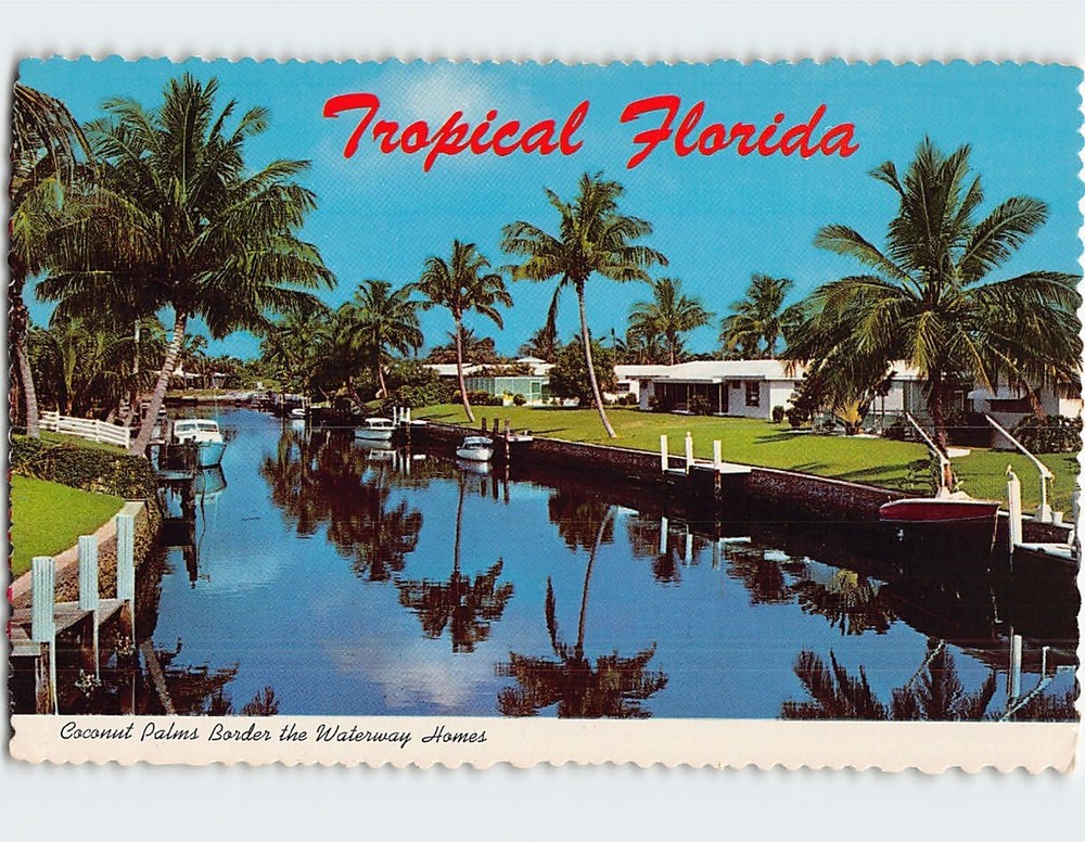 Postcard Coconut Palms Border the Waterway Homes Florida USA