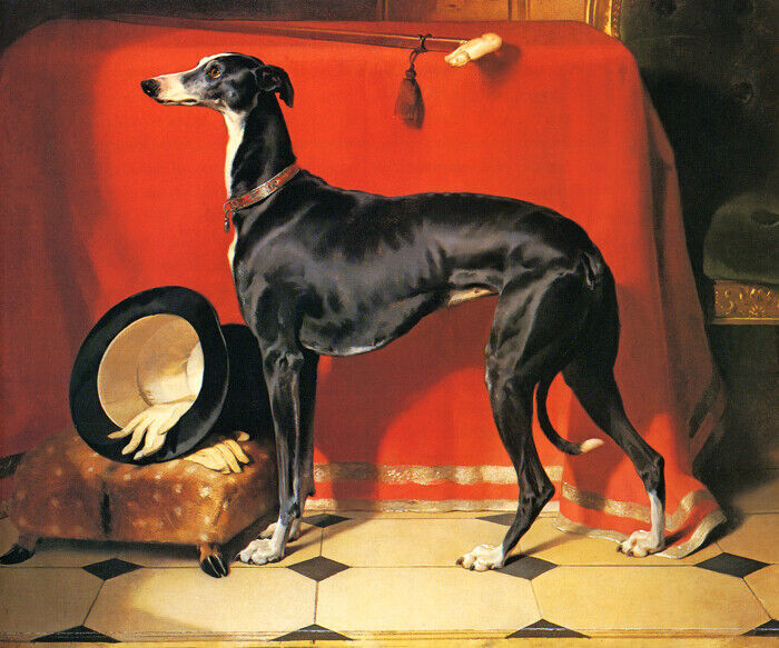 A FAVORITE GREYHOUND OF PRINCE ALBERT 1841 DOG PAINTING BY EDWIN LANDSEER REPRO
