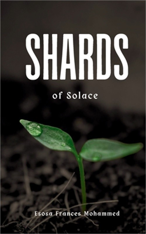 Shards of Solace (Paperback or Softback)
