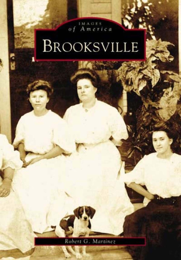 NEW Arcadia Publishing Brooksville, FL 9780738516523 Images of America Trade Pap