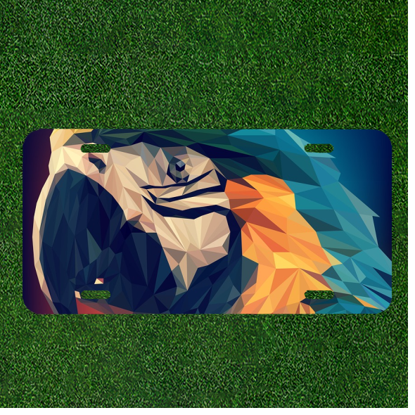Custom Personalized License Plate Auto Tag With Stunning Parrot Design Art