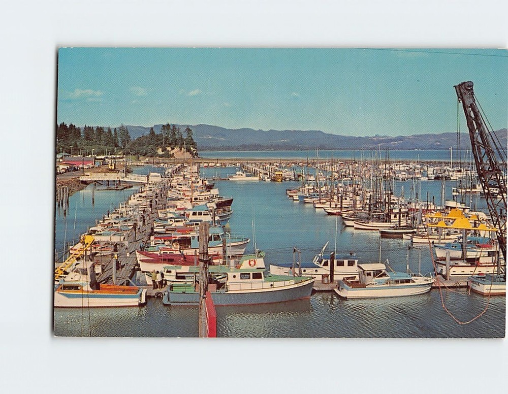 Postcard Port Basin Ilwaco Washington USA