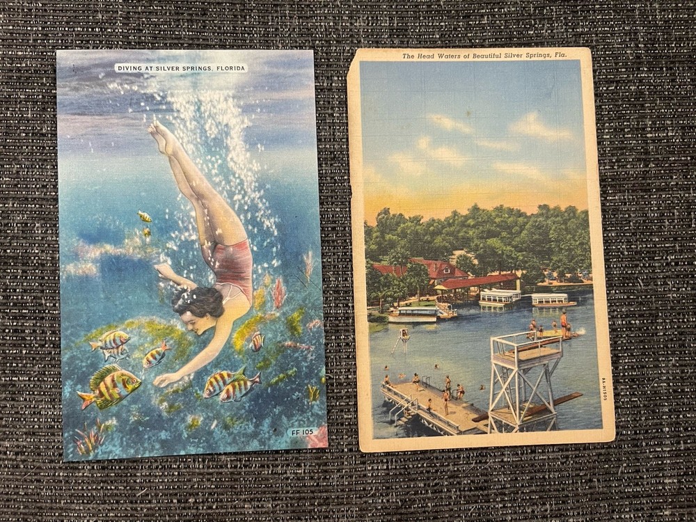 Linen Postcard Ocala, FL~The Headwaters and Boat & Girl Diving At Silver Springs