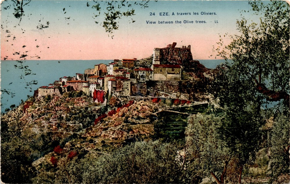 24 EZE, Olive trees, LÉVY & NEURDEIN RÉUNIS Postcard