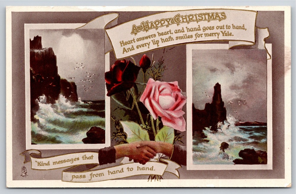 TUCK~A Happy Christmas~Ocean Cliff Scenes & Pink Rose Flowers~Vintage Postcard