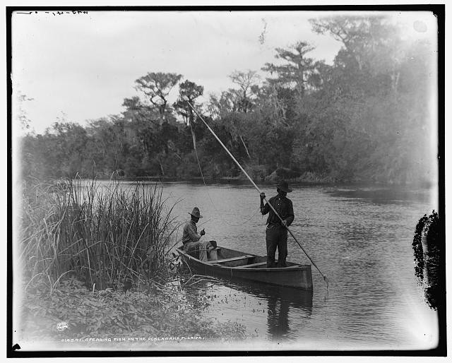 Photo:Spearing fish on the Ocklawaha sic, Florida