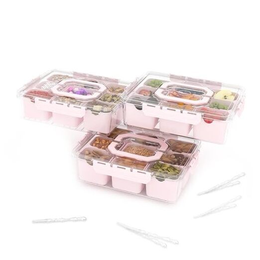 9-Compartment Divided Snack Tray with Lid and Handles