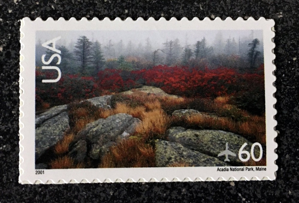 2001 USA #C138 60c Arcadia National Park Maine Airmail Mint Single Stamp-image
