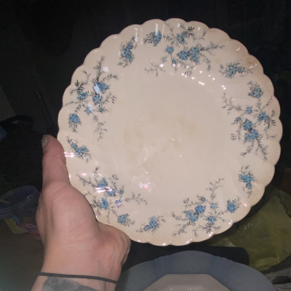 Myott Ceramic Round Plate with Forget Me Not Pattern, Blue White, Hand Painted