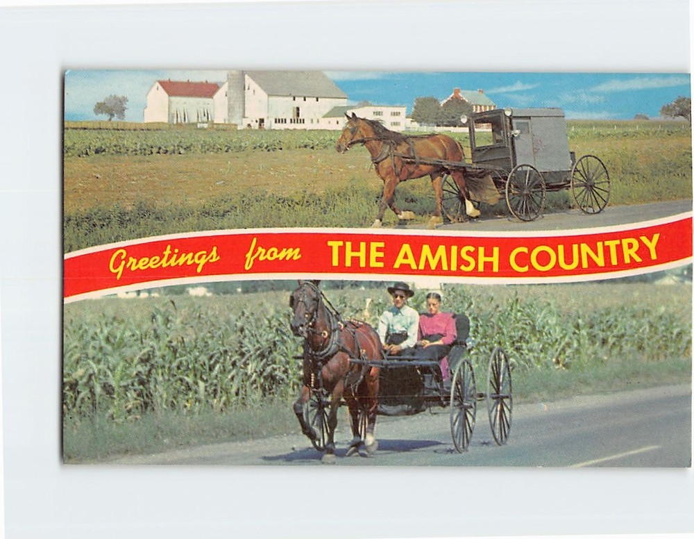Postcard Family Carriage and Courting Buggy Amish Country Pennsylvania USA
